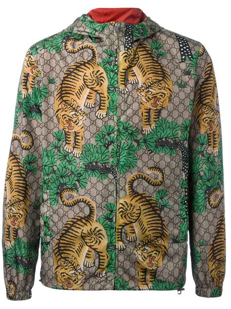 gucci bengal tiger.